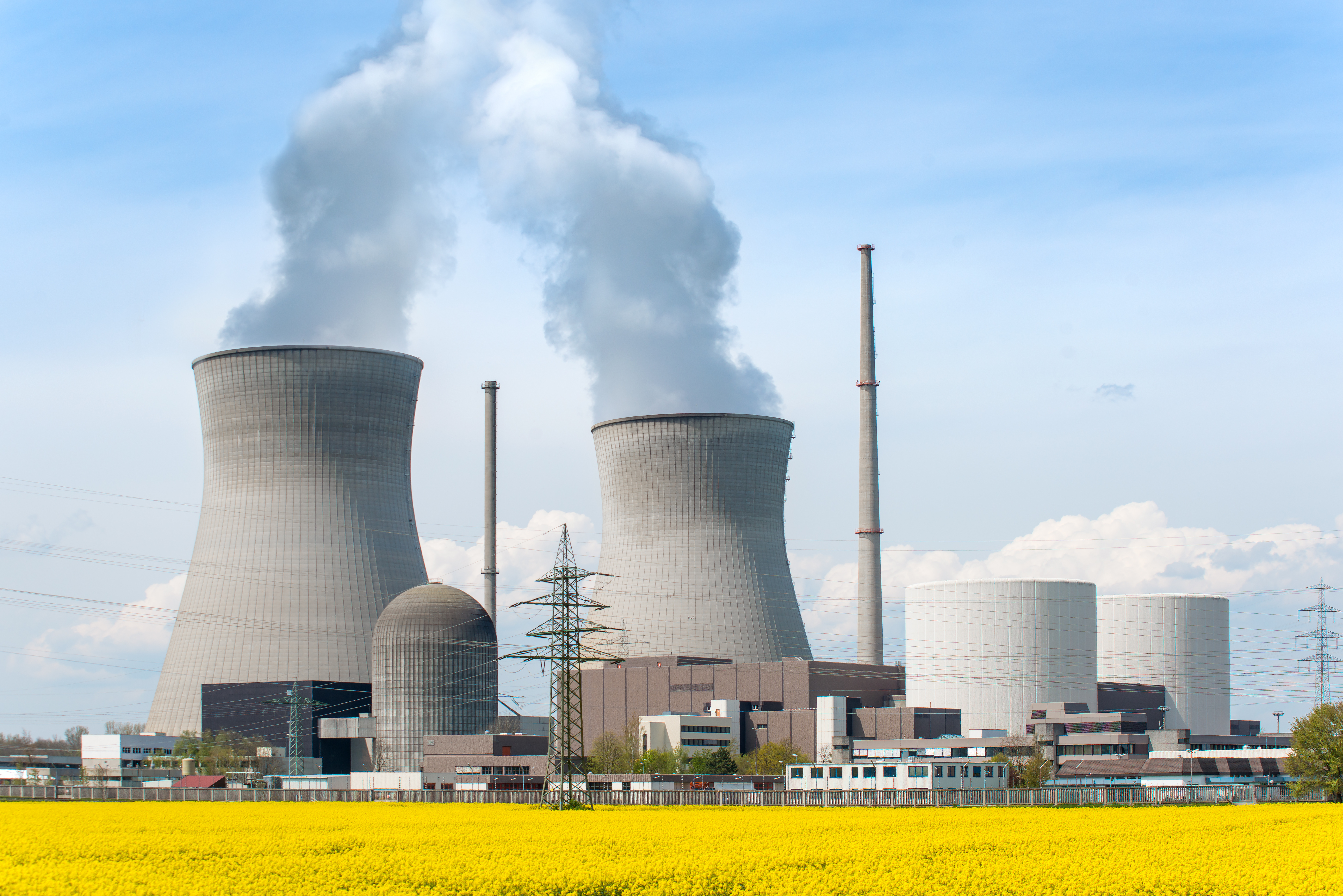 Flexible Design for Nuclear Power Plants under Uncertainty